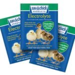 electrolyte