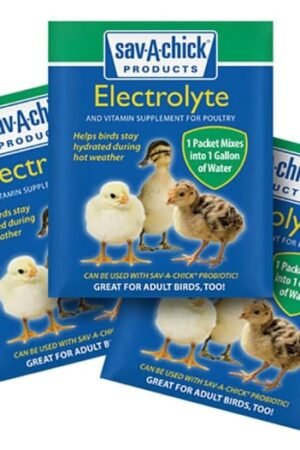 electrolyte